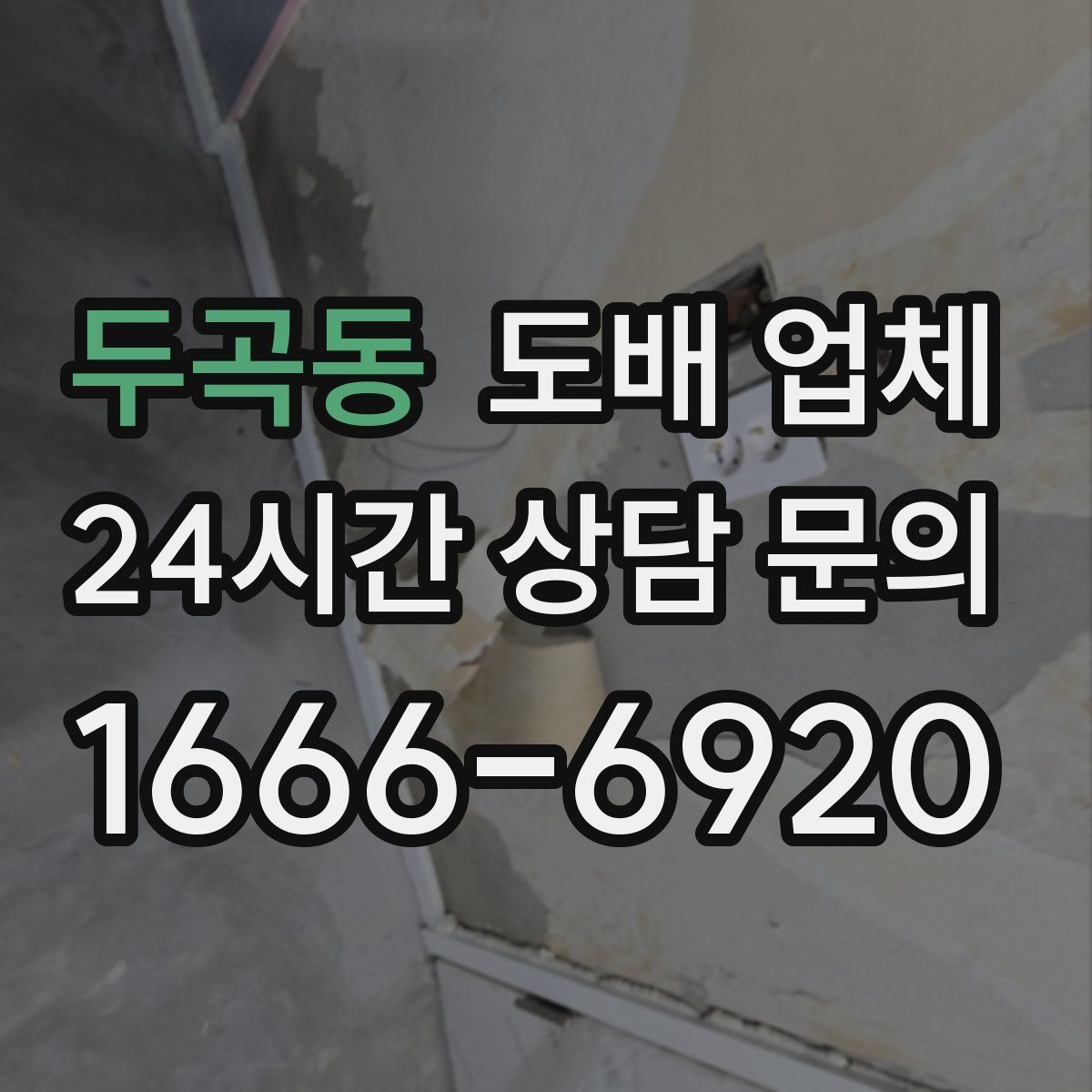 두곡동 도배 업체