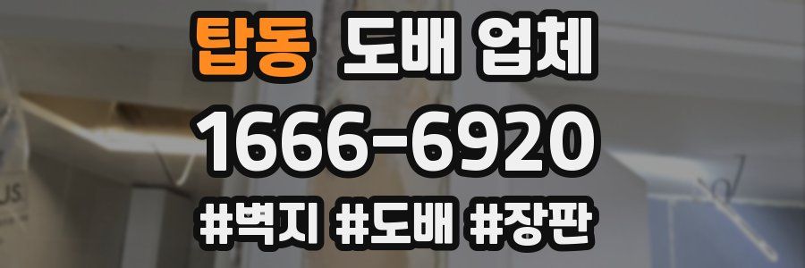탑동 도배 업체