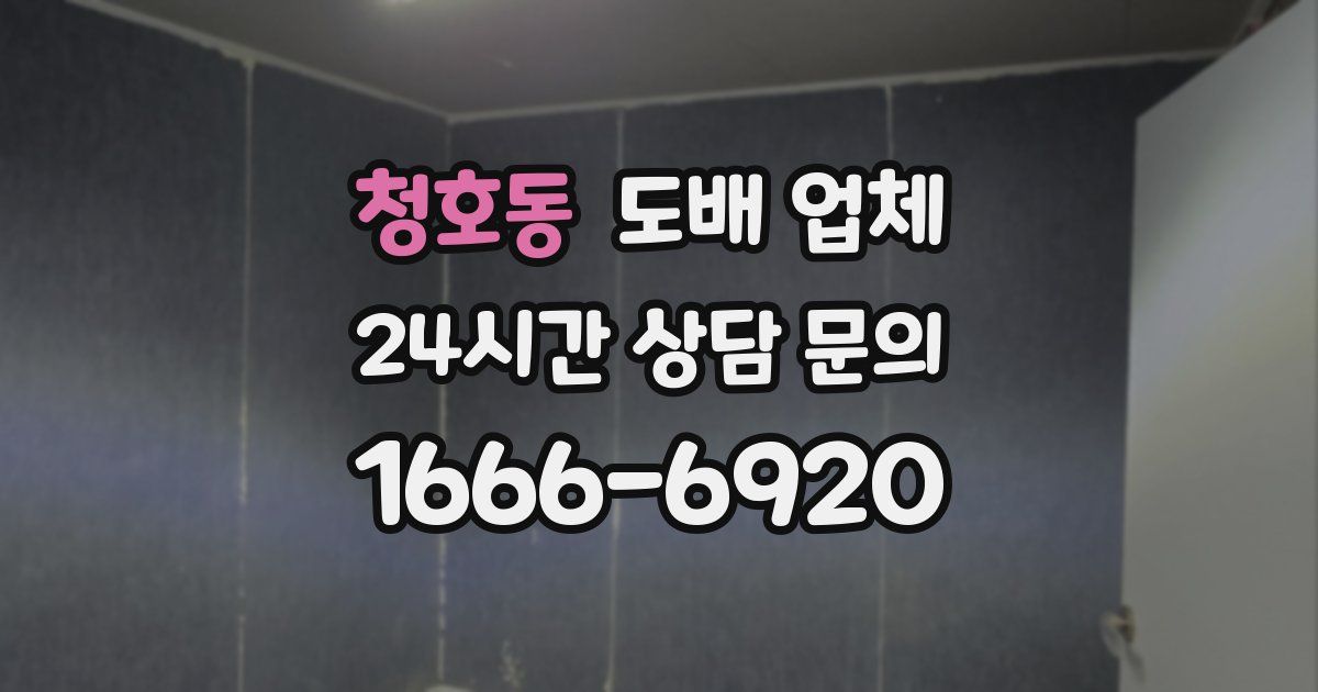 청호동 도배 업체