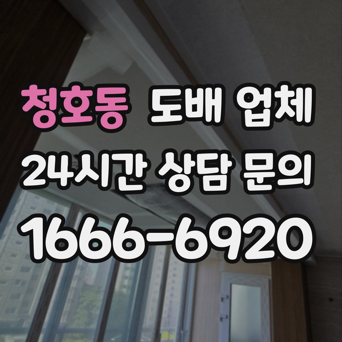 청호동 도배 업체