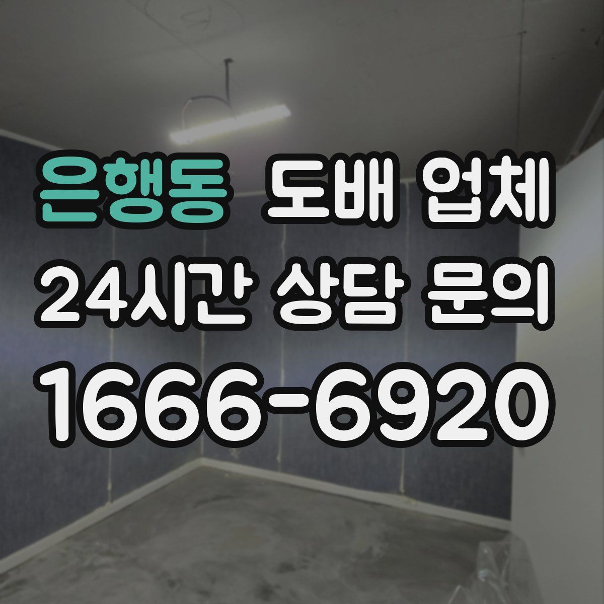 은행동 도배 업체