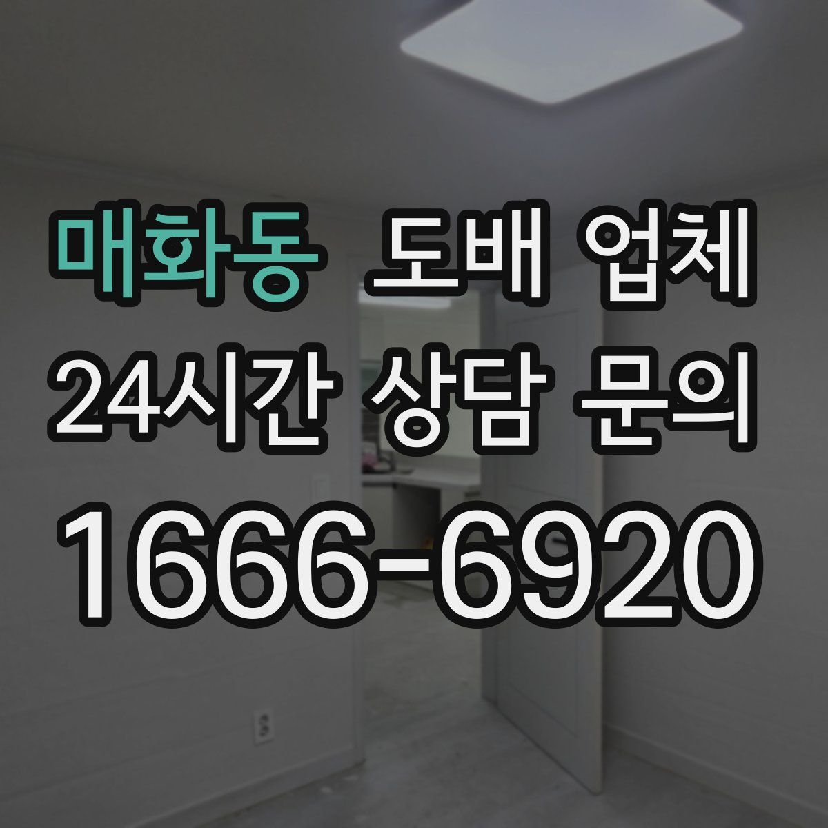 매화동 도배 업체