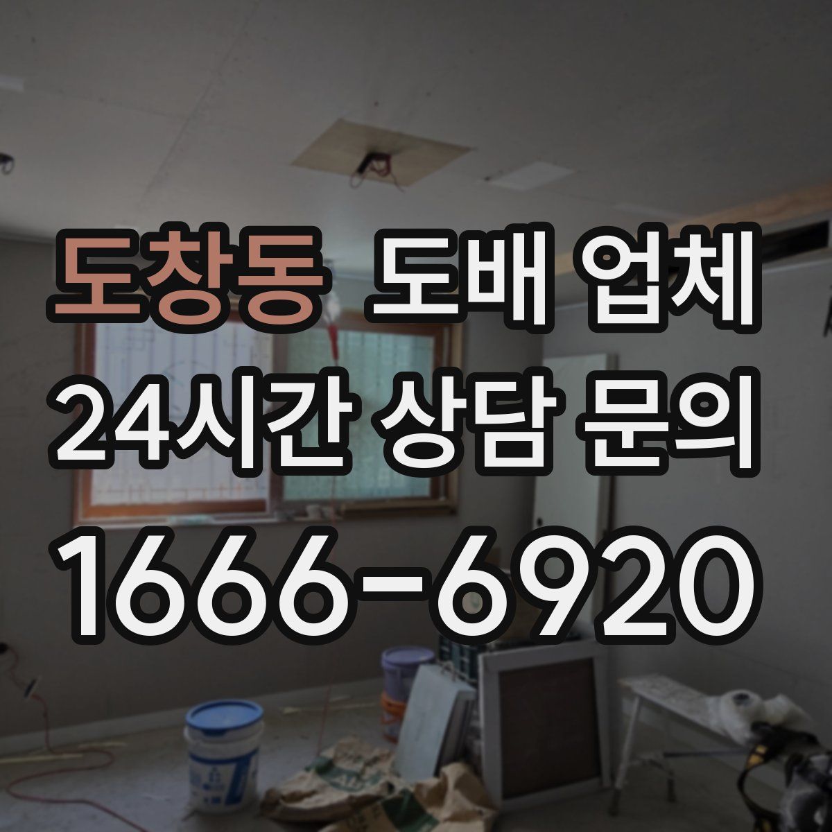 도창동 도배 업체