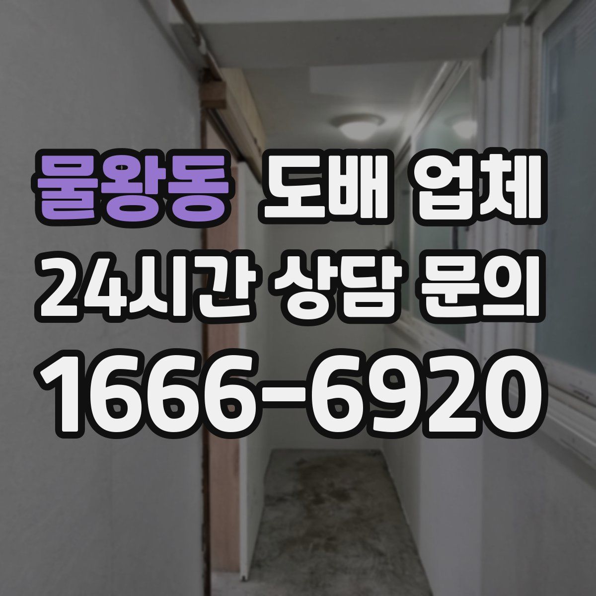 물왕동 도배 업체