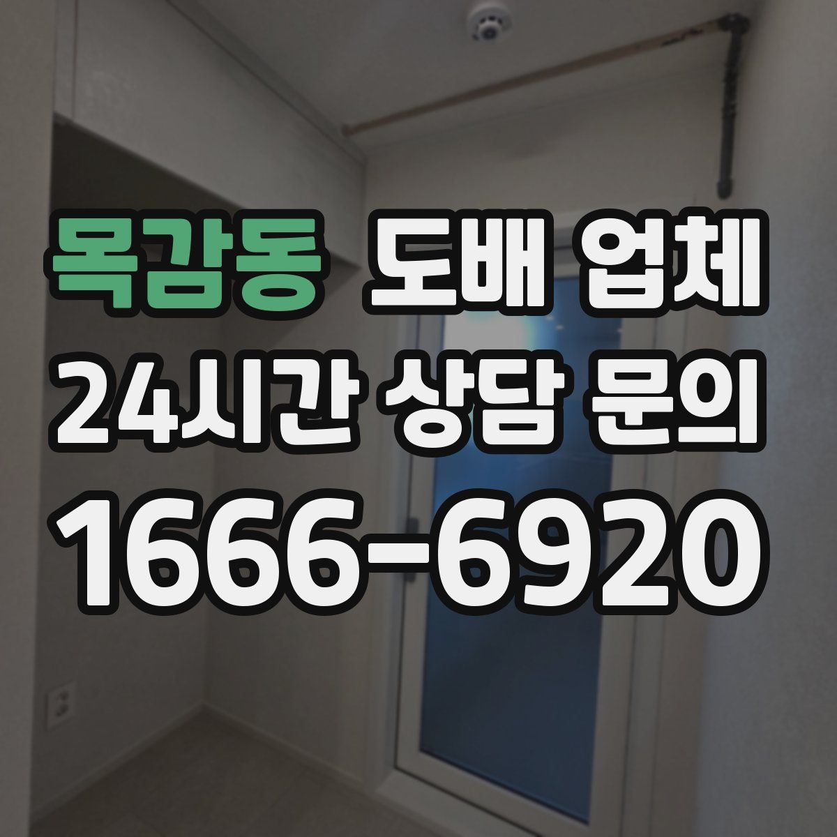 목감동 도배 업체
