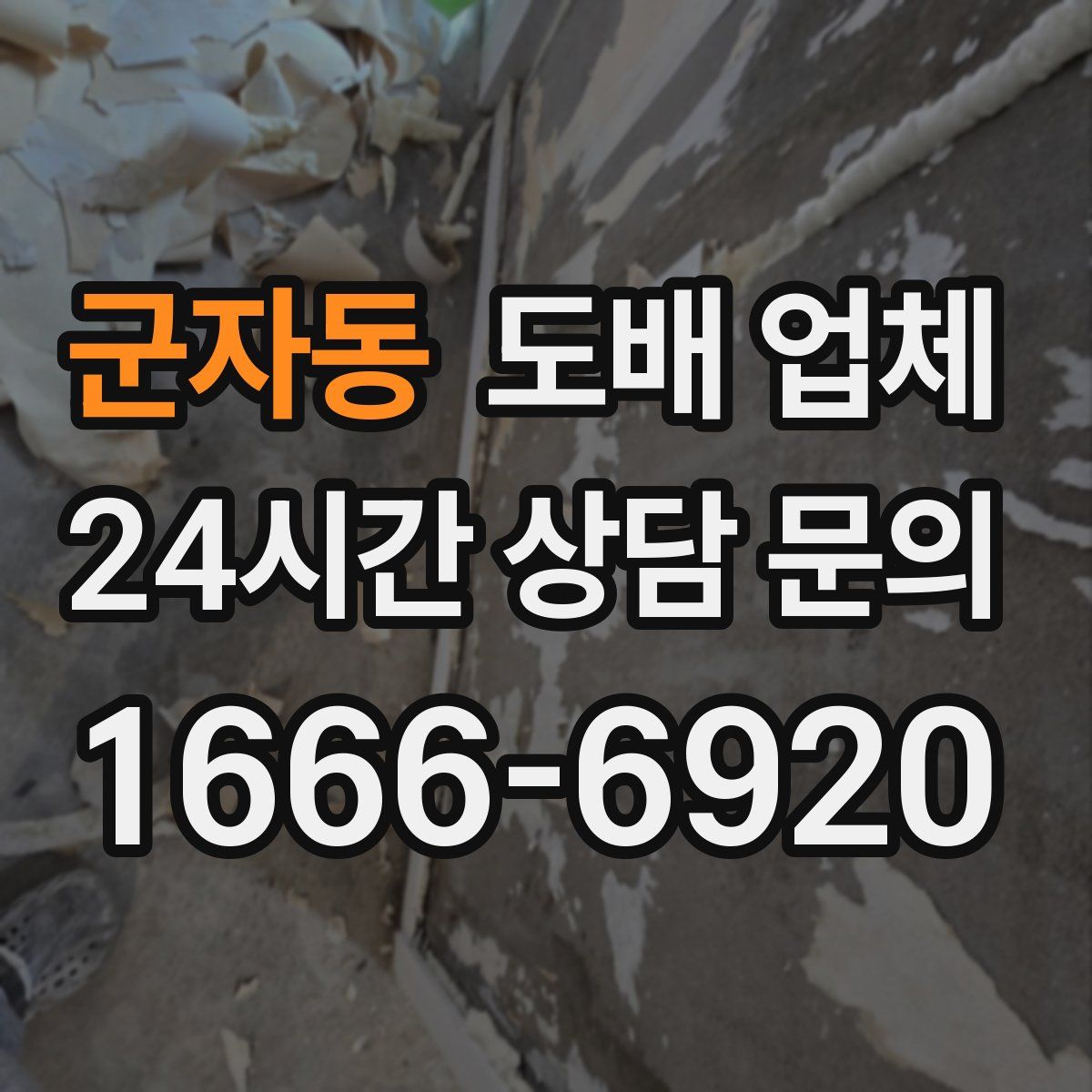 군자동 도배 업체