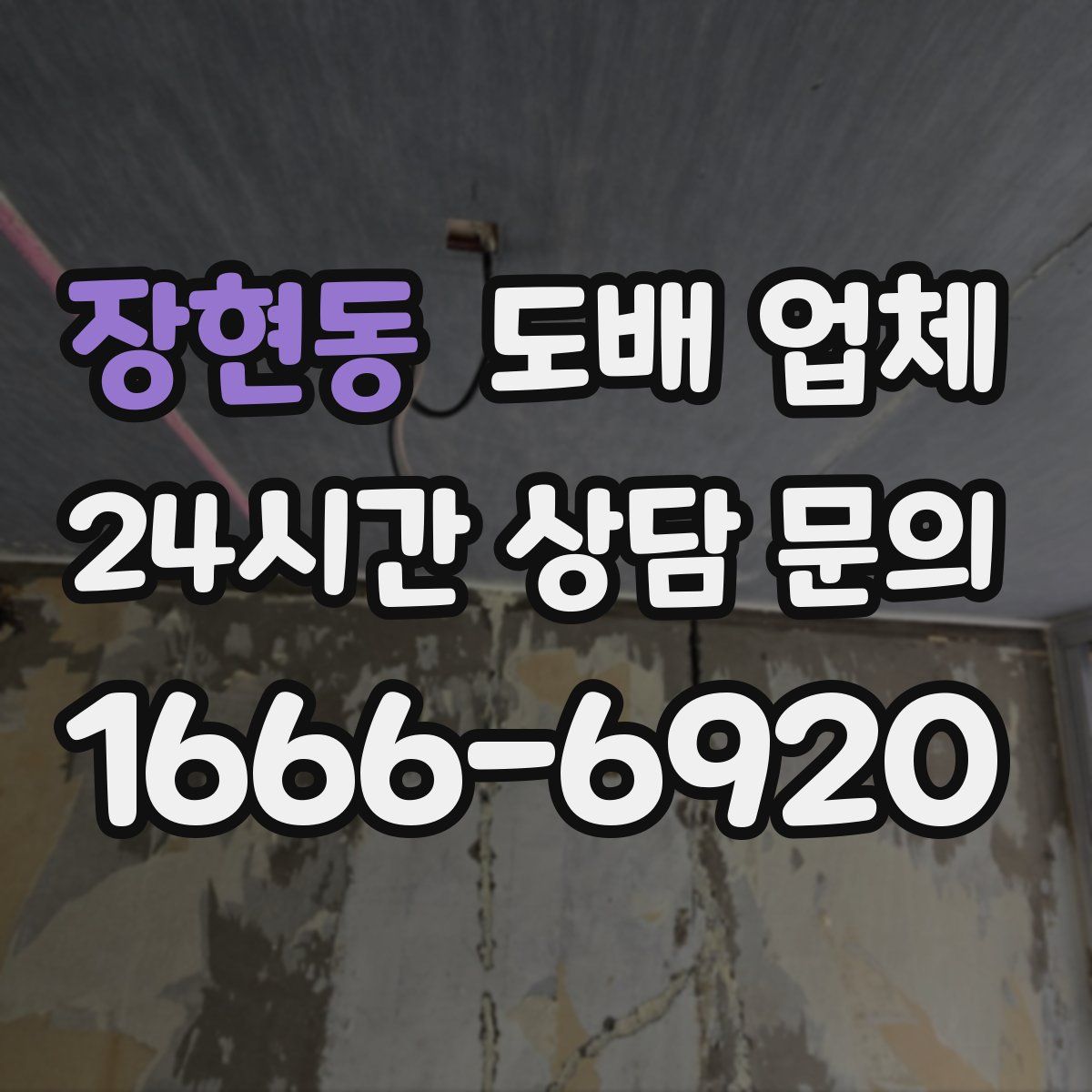 장현동 도배 업체