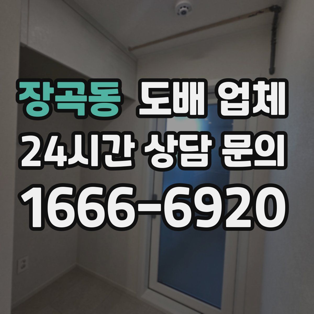 장곡동 도배 업체