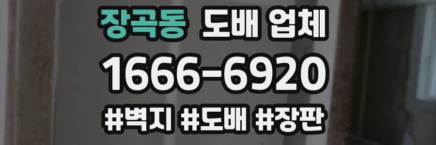 장곡동 도배 업체