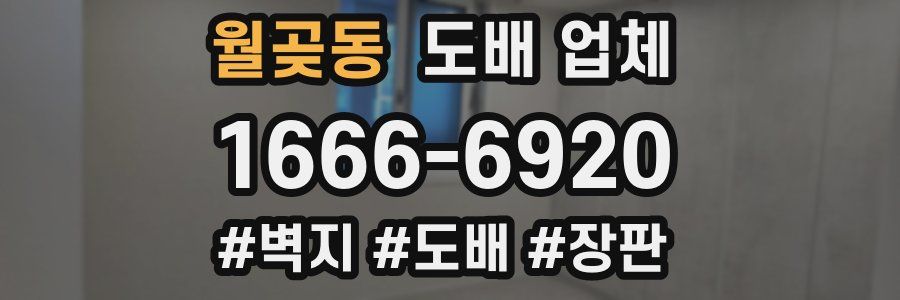 월곶동 도배 업체