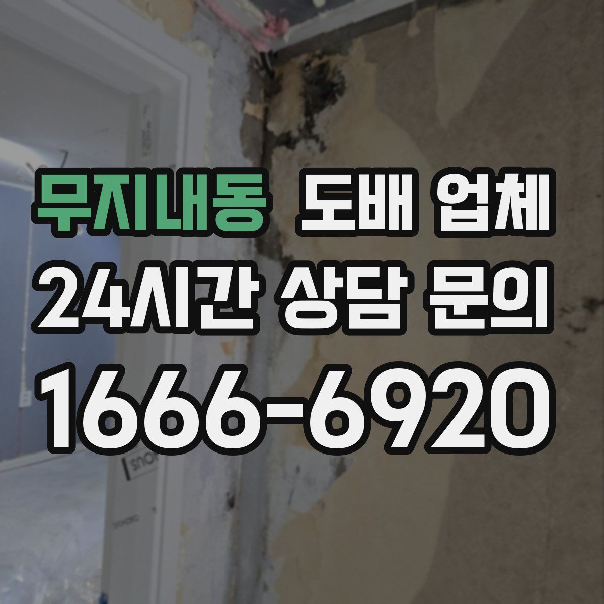 무지내동 도배 업체