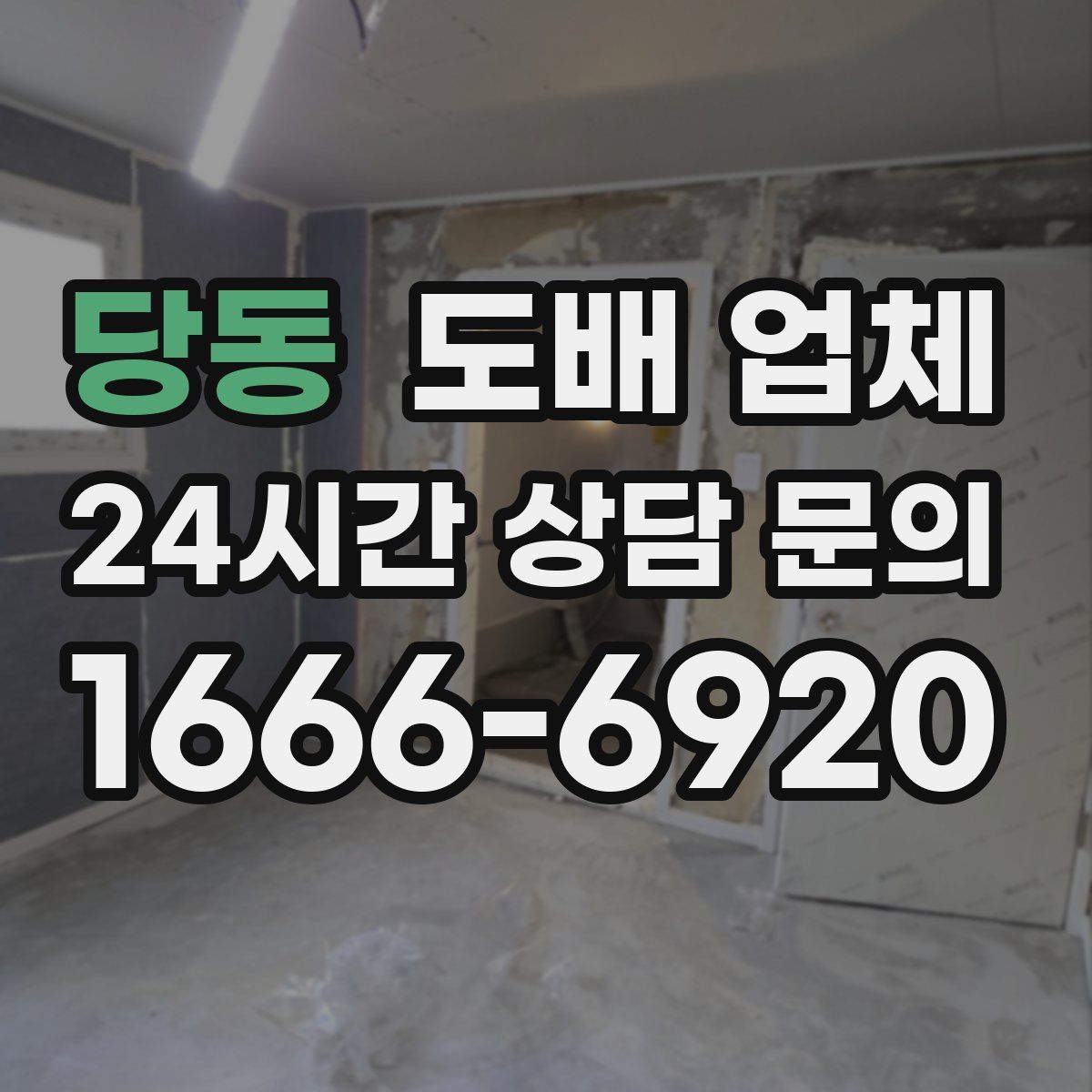 당동 도배 업체