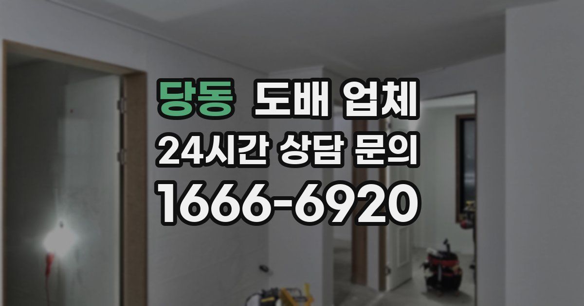 당동 도배 업체