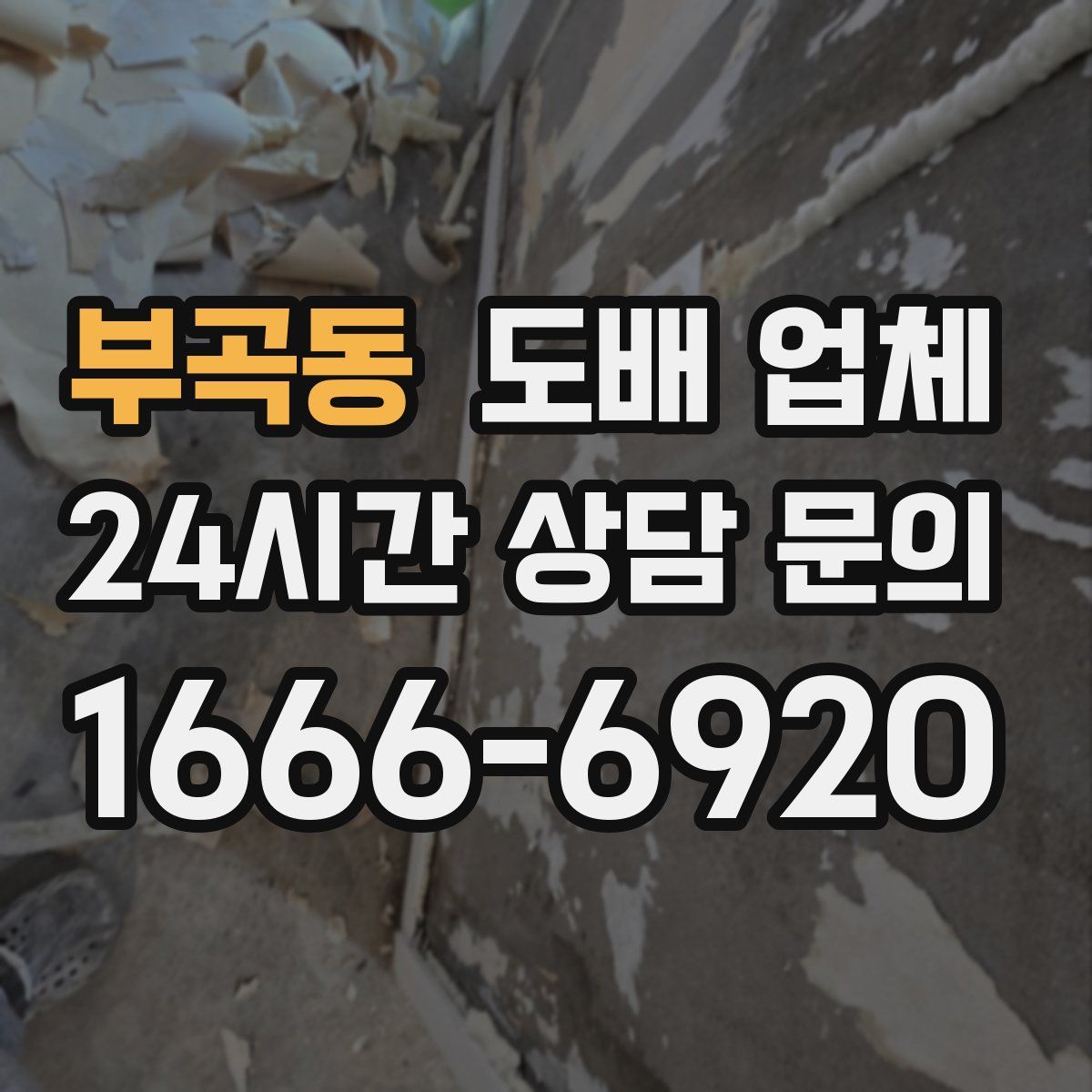 부곡동 도배 업체