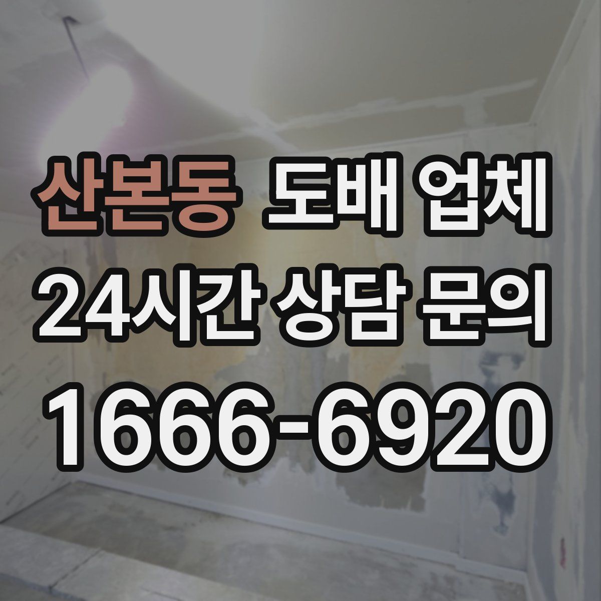 산본동 도배 업체