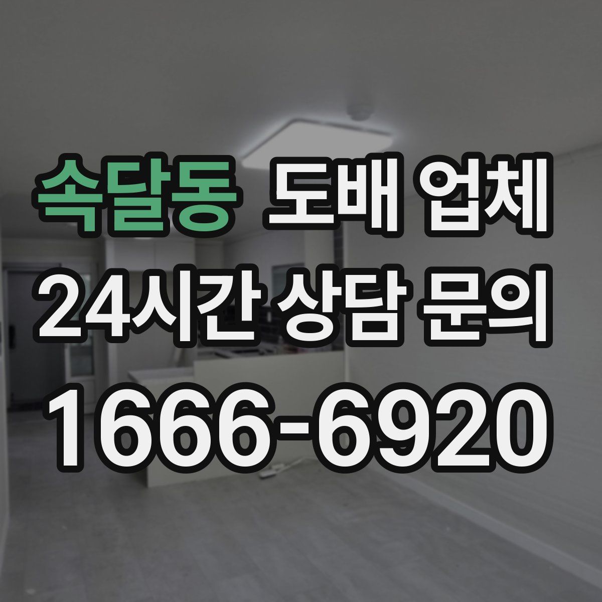 속달동 도배 업체