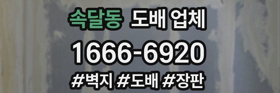 속달동 도배 업체