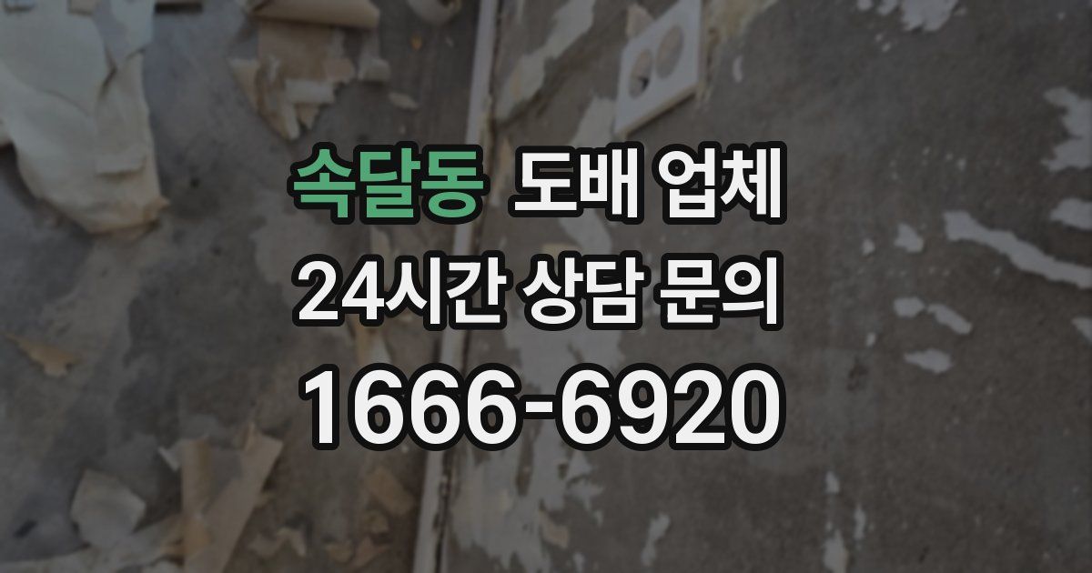 속달동 도배 업체