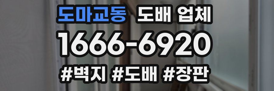 도마교동 도배 업체