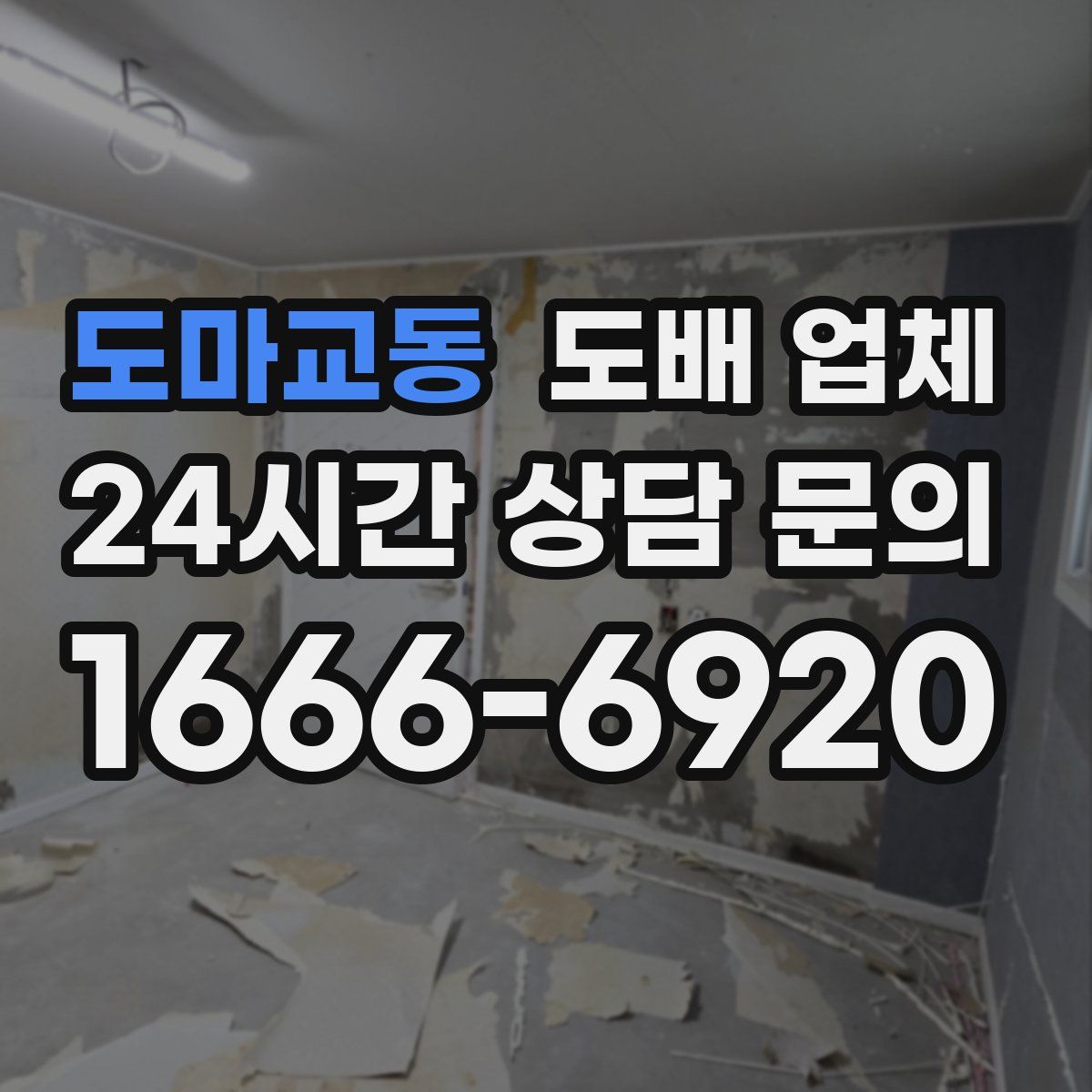 도마교동 도배 업체