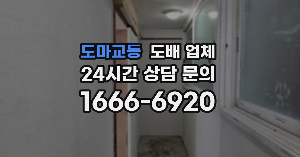 도마교동 도배 업체
