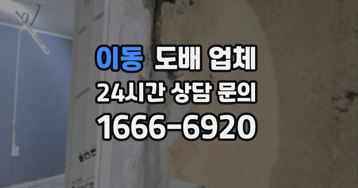 이동 도배 업체
