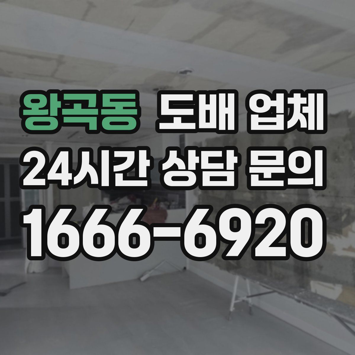 왕곡동 도배 업체