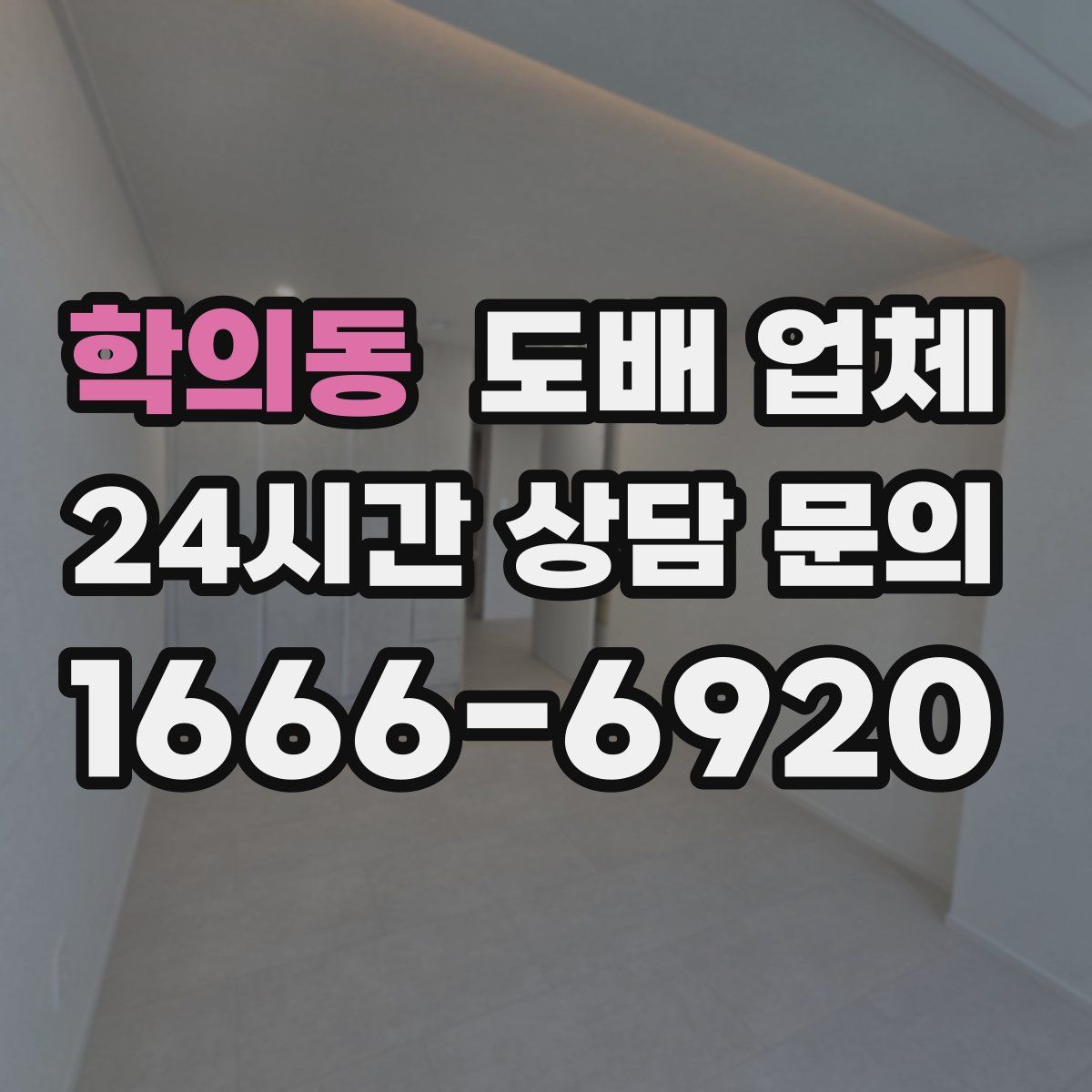 학의동 도배 업체