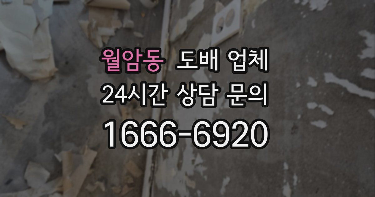 월암동 도배 업체