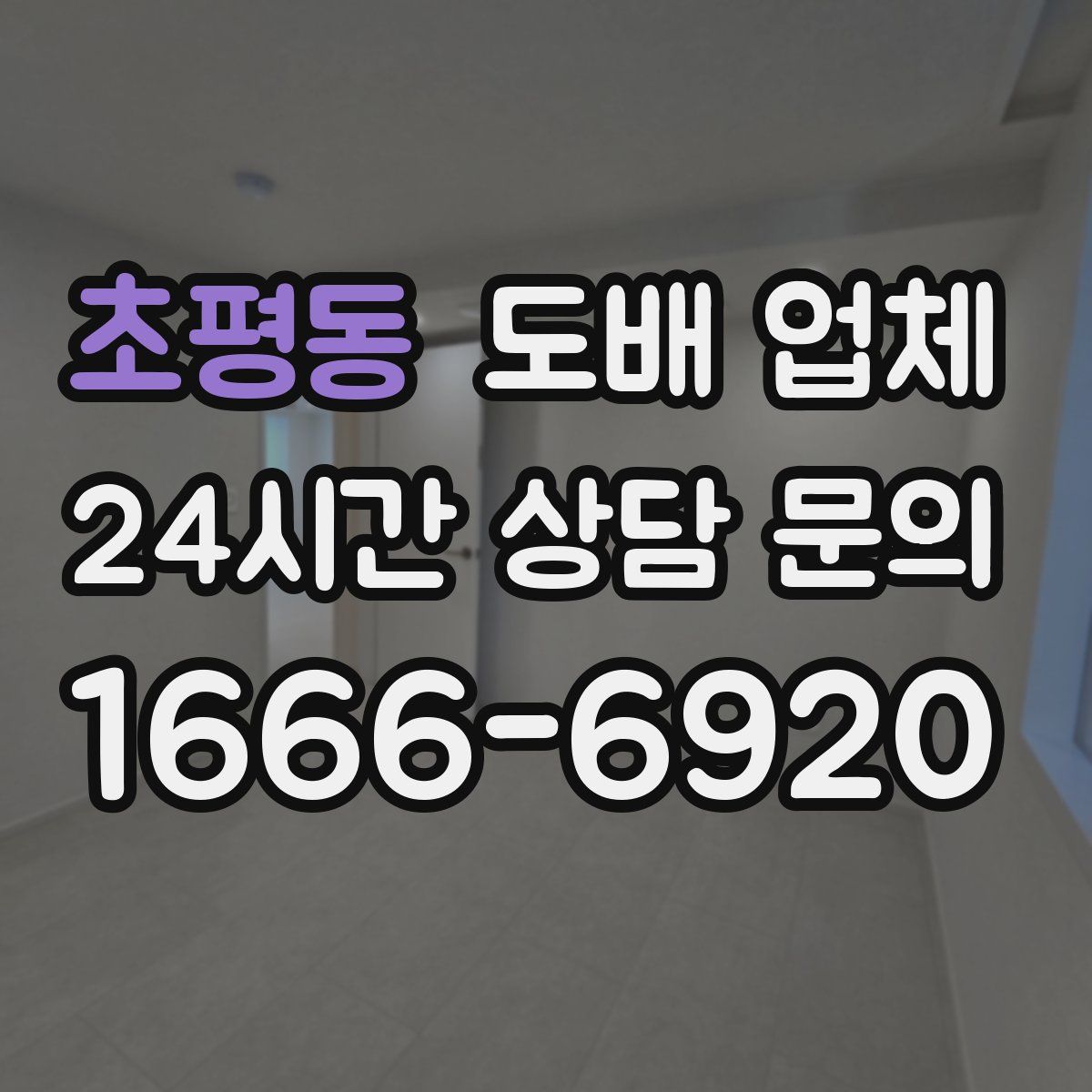 초평동 도배 업체