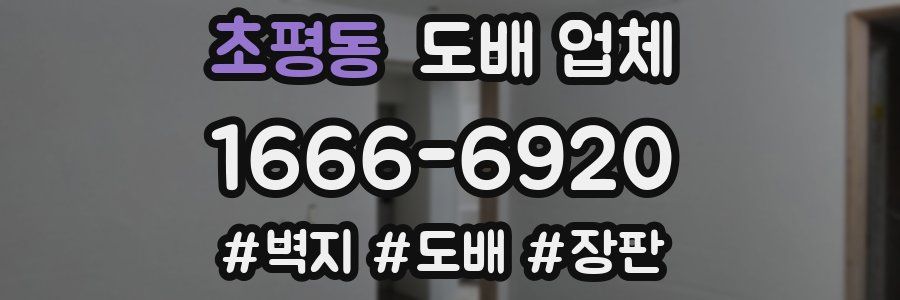초평동 도배 업체