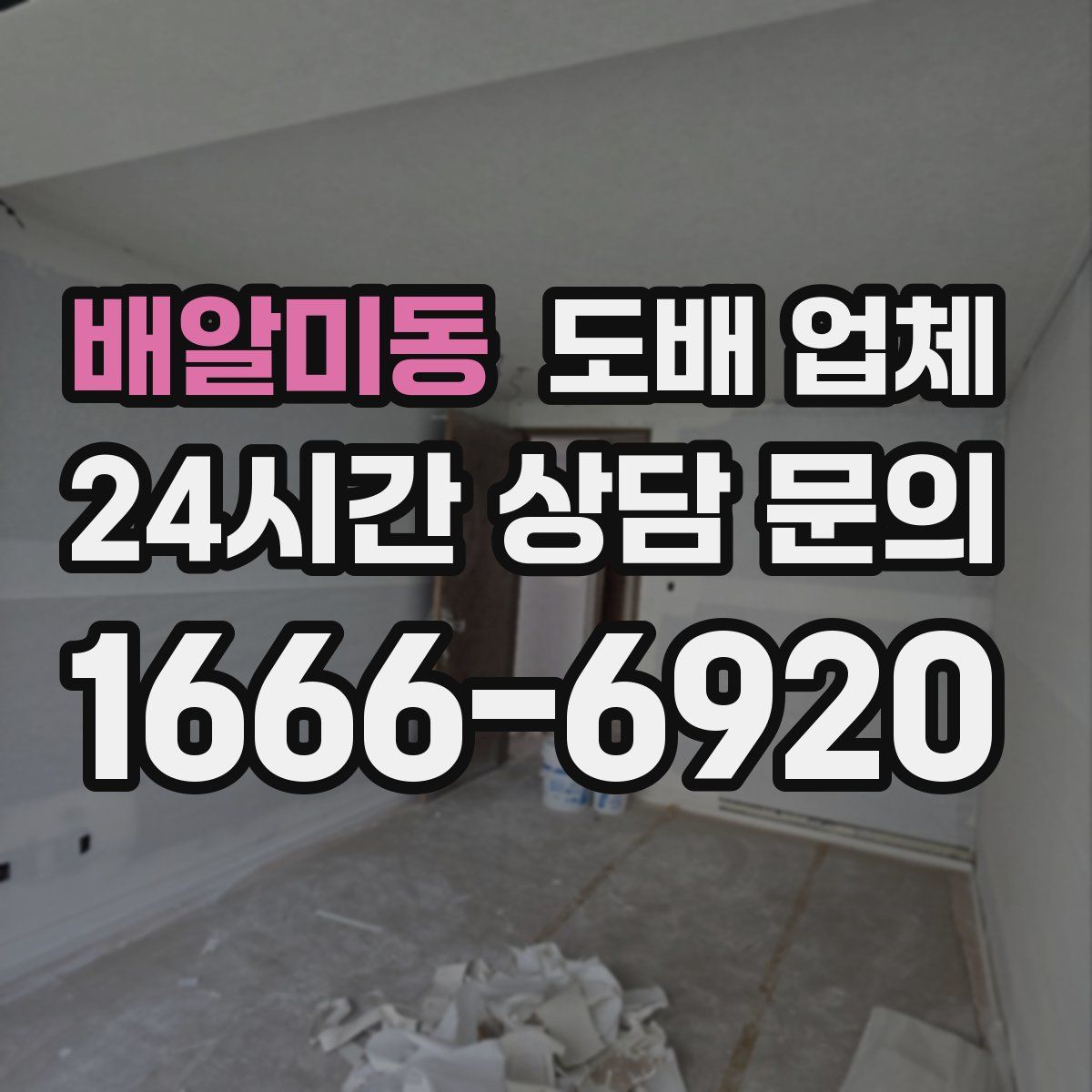 배알미동 도배 업체