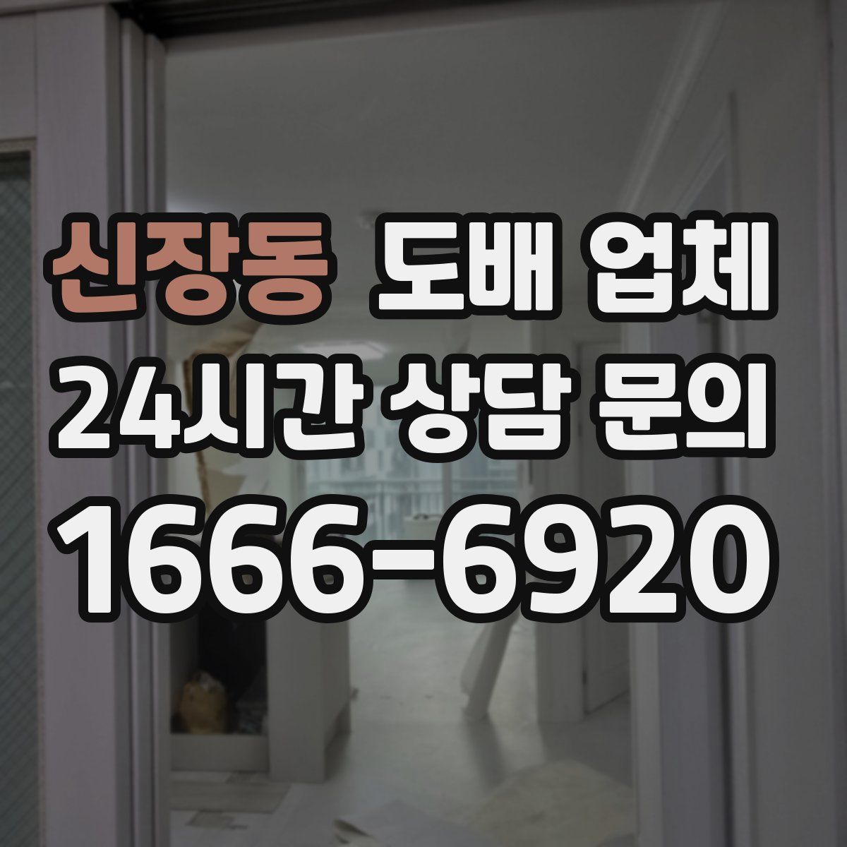신장동 도배 업체