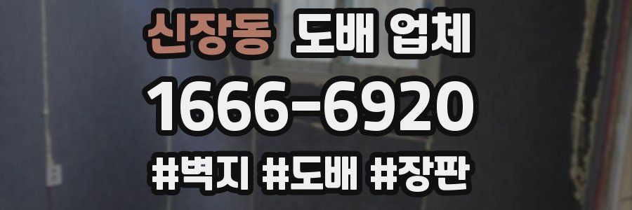 신장동 도배 업체