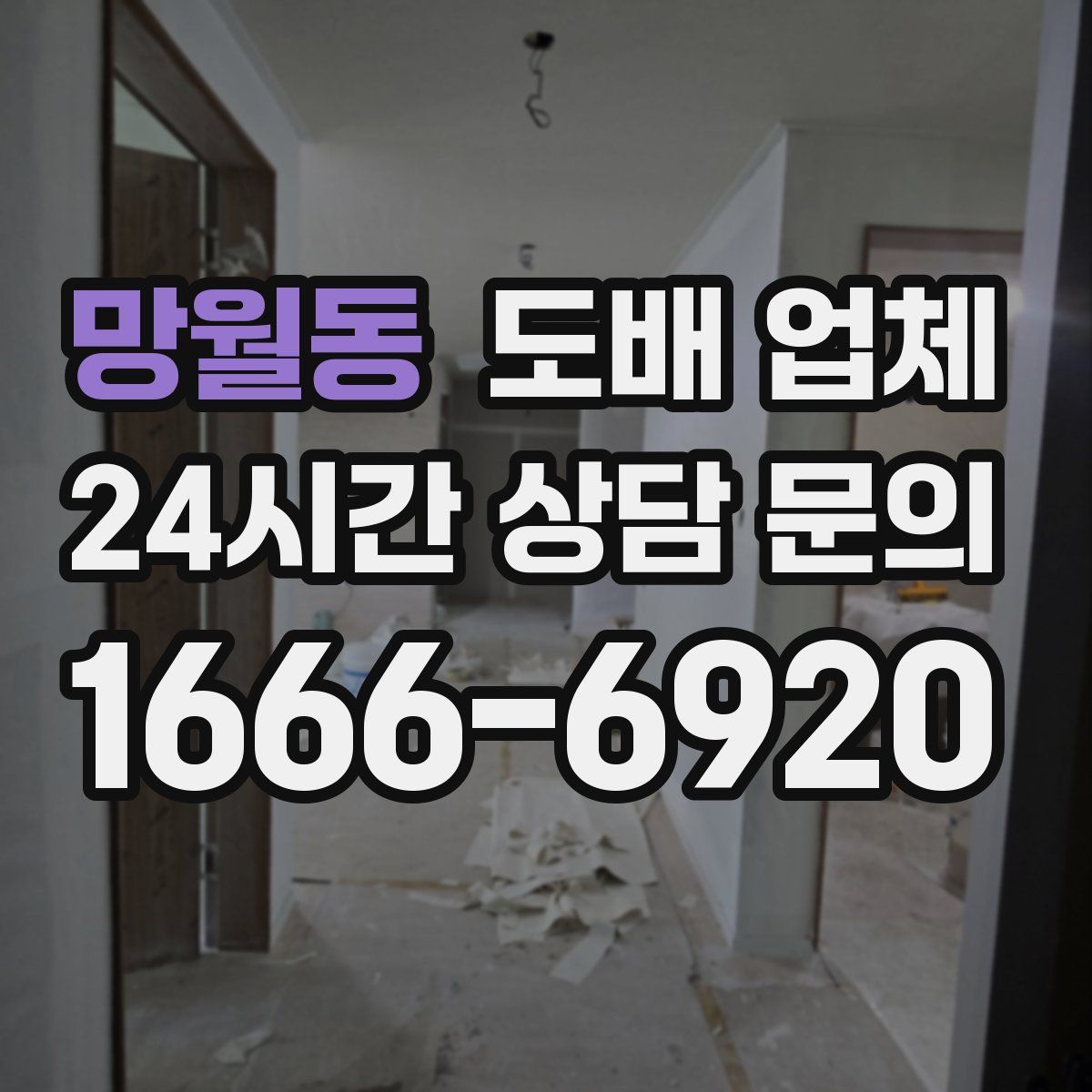 망월동 도배 업체