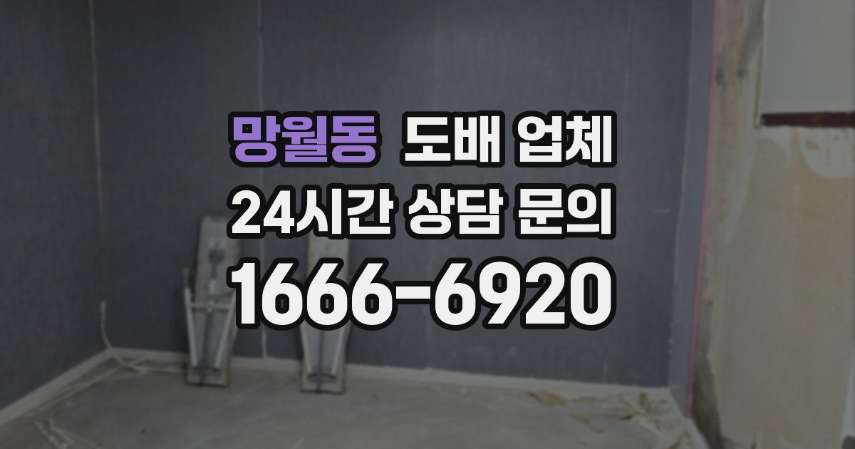 망월동 도배 업체