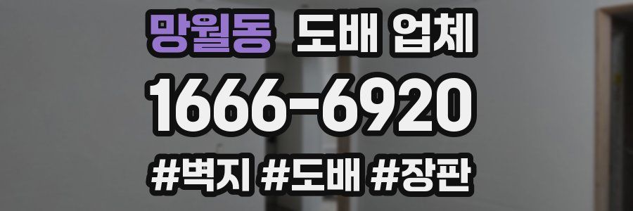 망월동 도배 업체