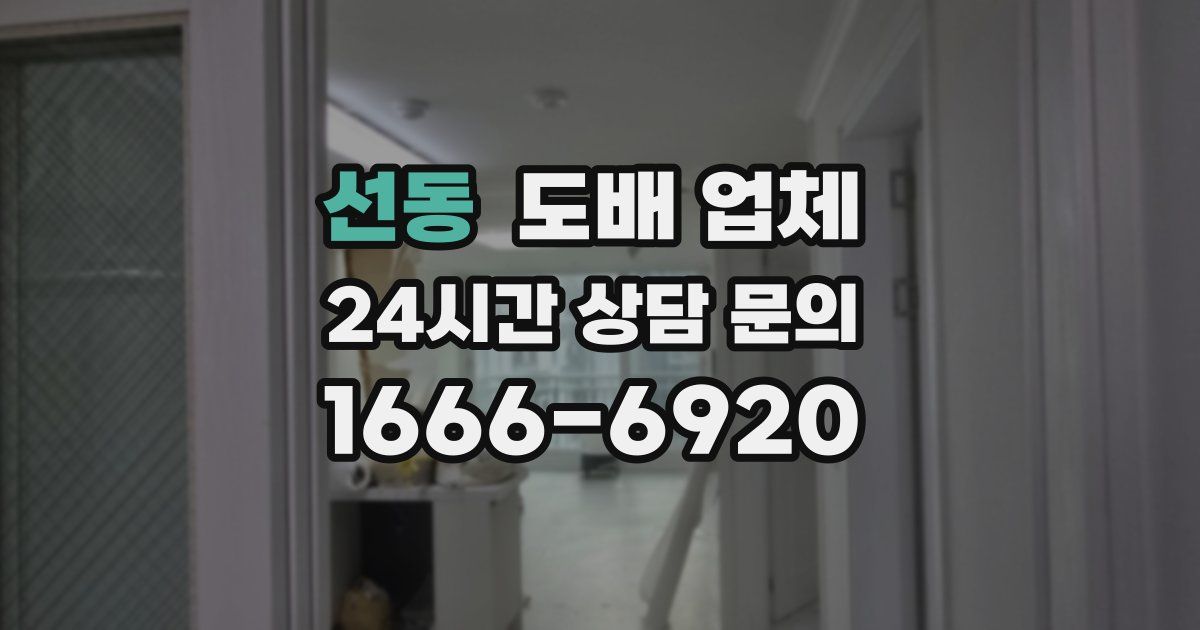 선동 도배 업체