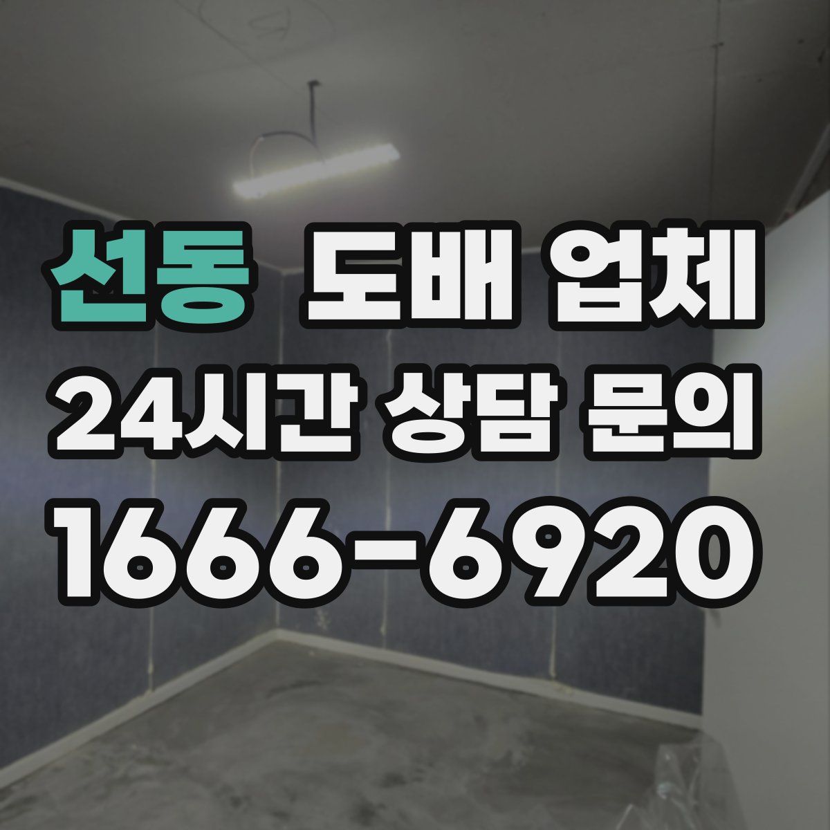 선동 도배 업체