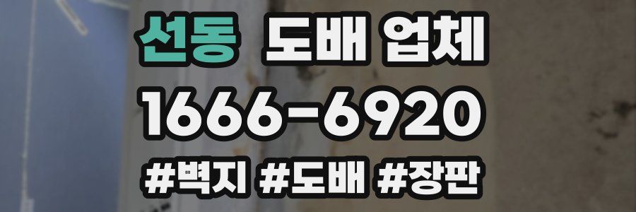 선동 도배 업체