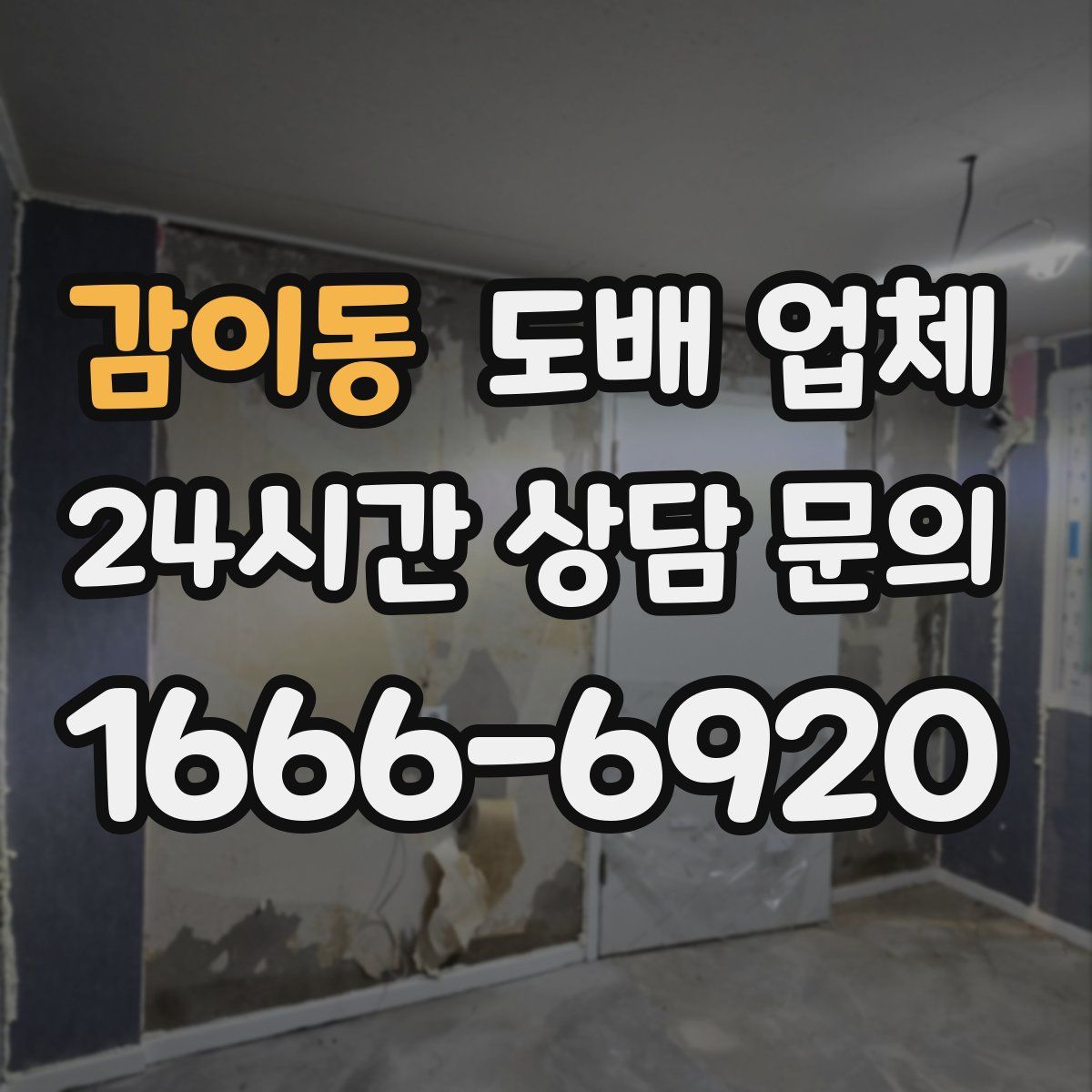 감이동 도배 업체