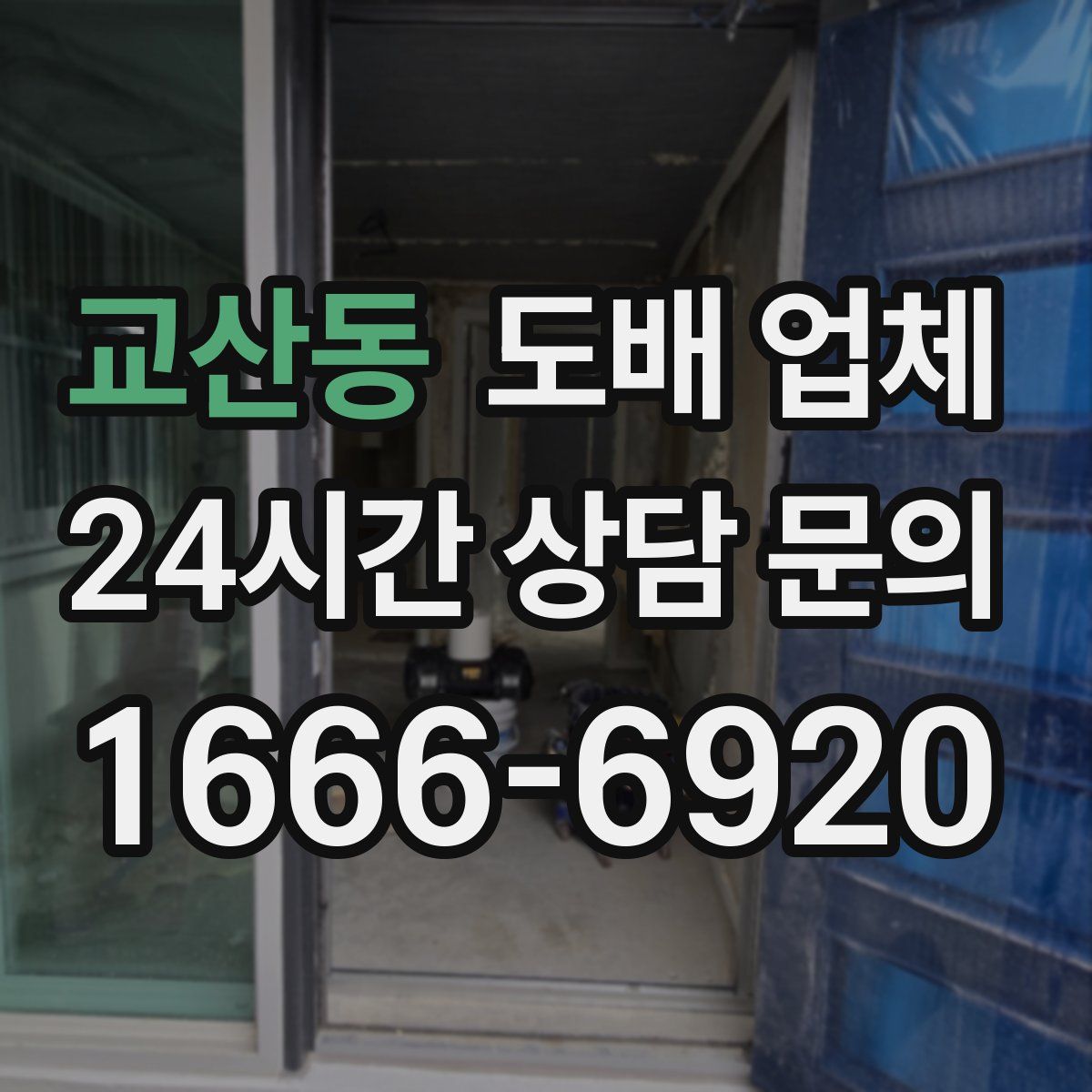 교산동 도배 업체