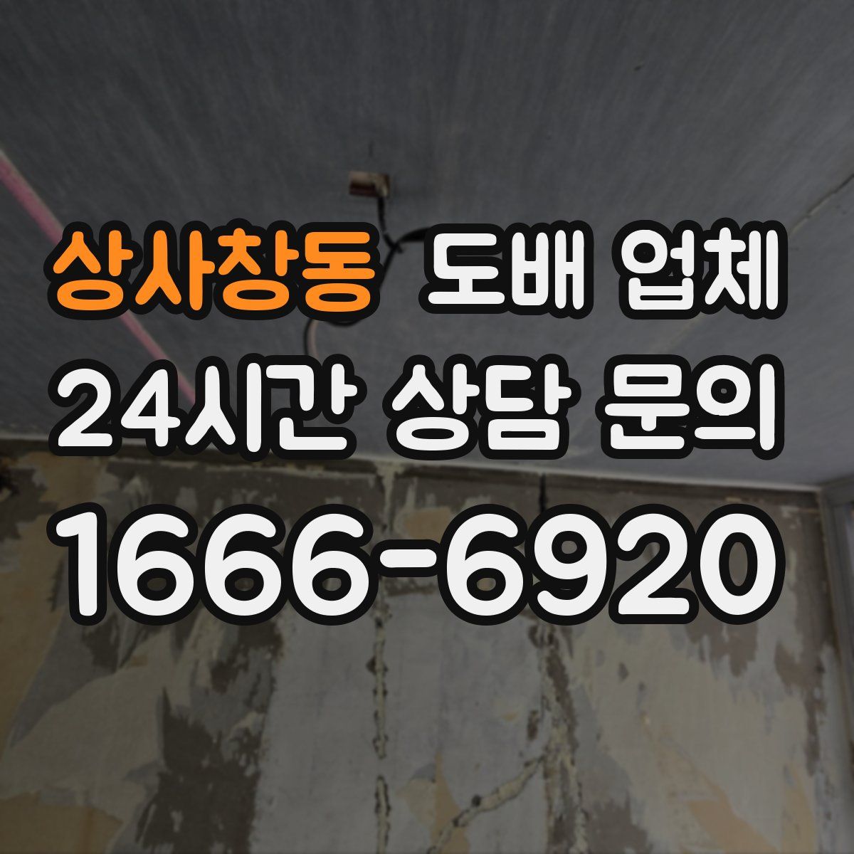 상사창동 도배 업체