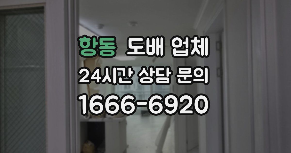 항동 도배 업체