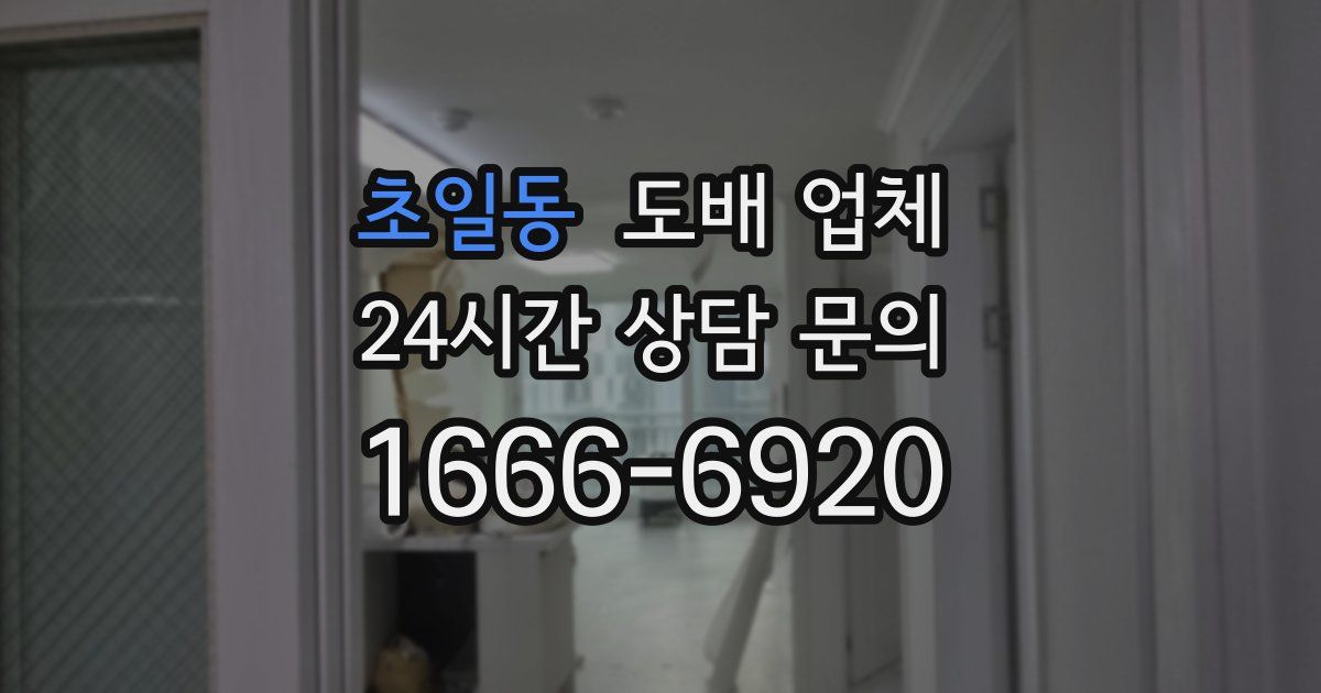 초일동 도배 업체