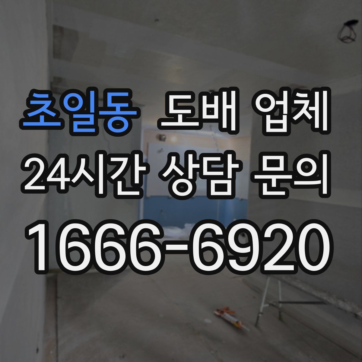 초일동 도배 업체