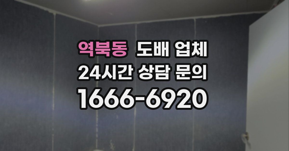 역북동 도배 업체