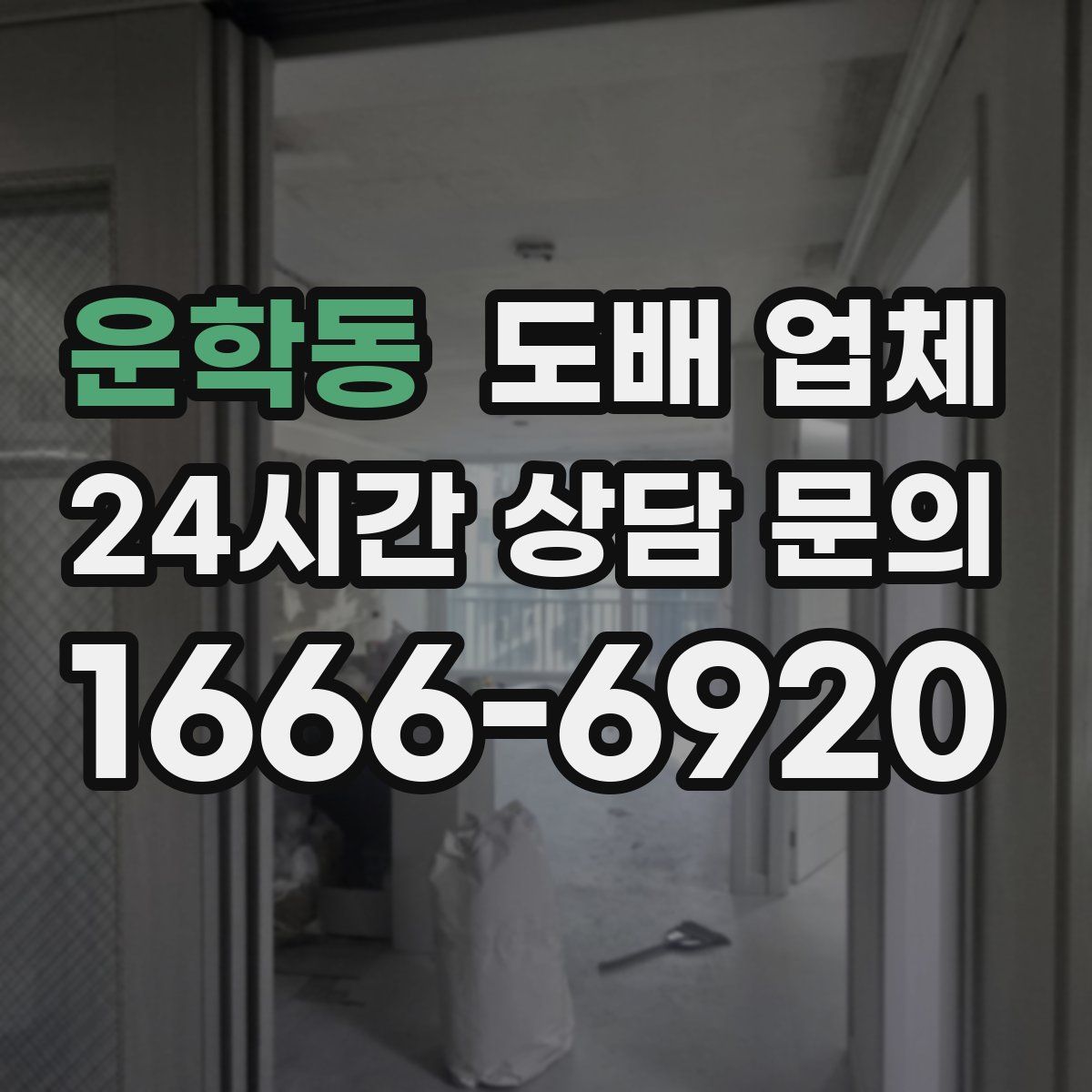 운학동 도배 업체