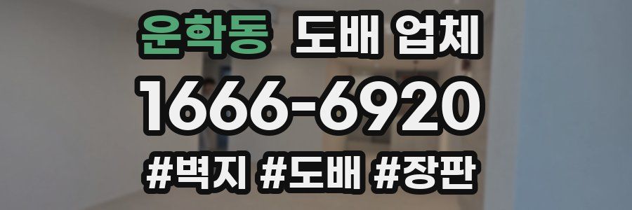 운학동 도배 업체