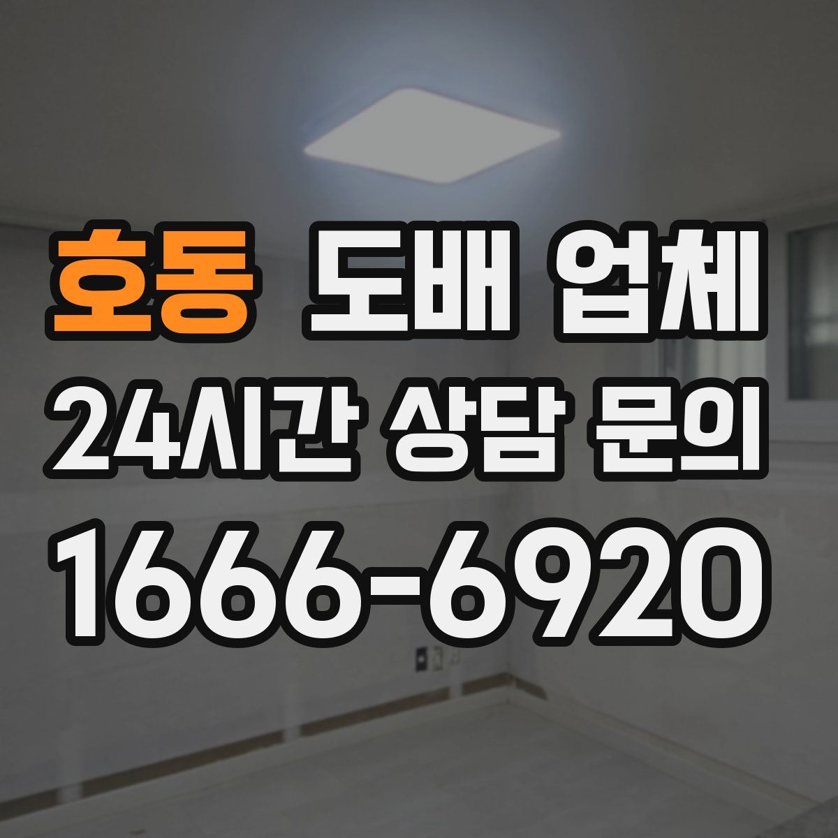호동 도배 업체
